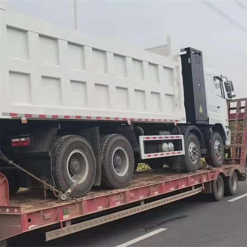 乐都区探秘蓬莱区多元物流运输世界