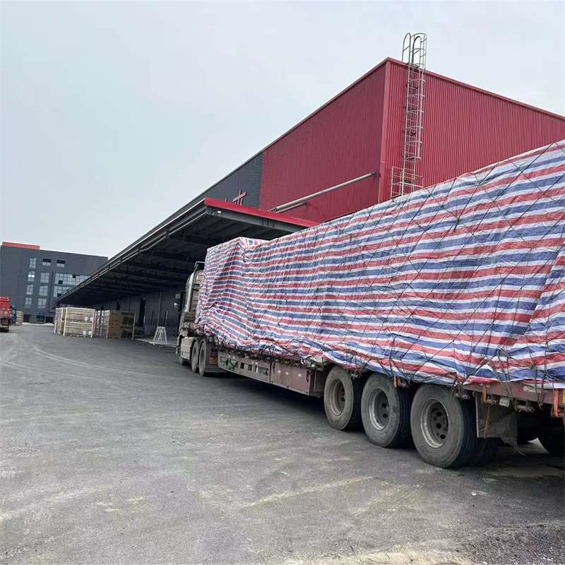 乐都区渝中区物流：多元服务与运输线路探秘