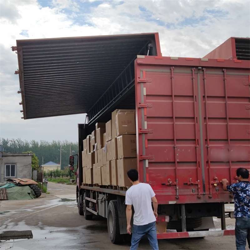 乐都区扎囊县：物流专线的高效货运之旅
